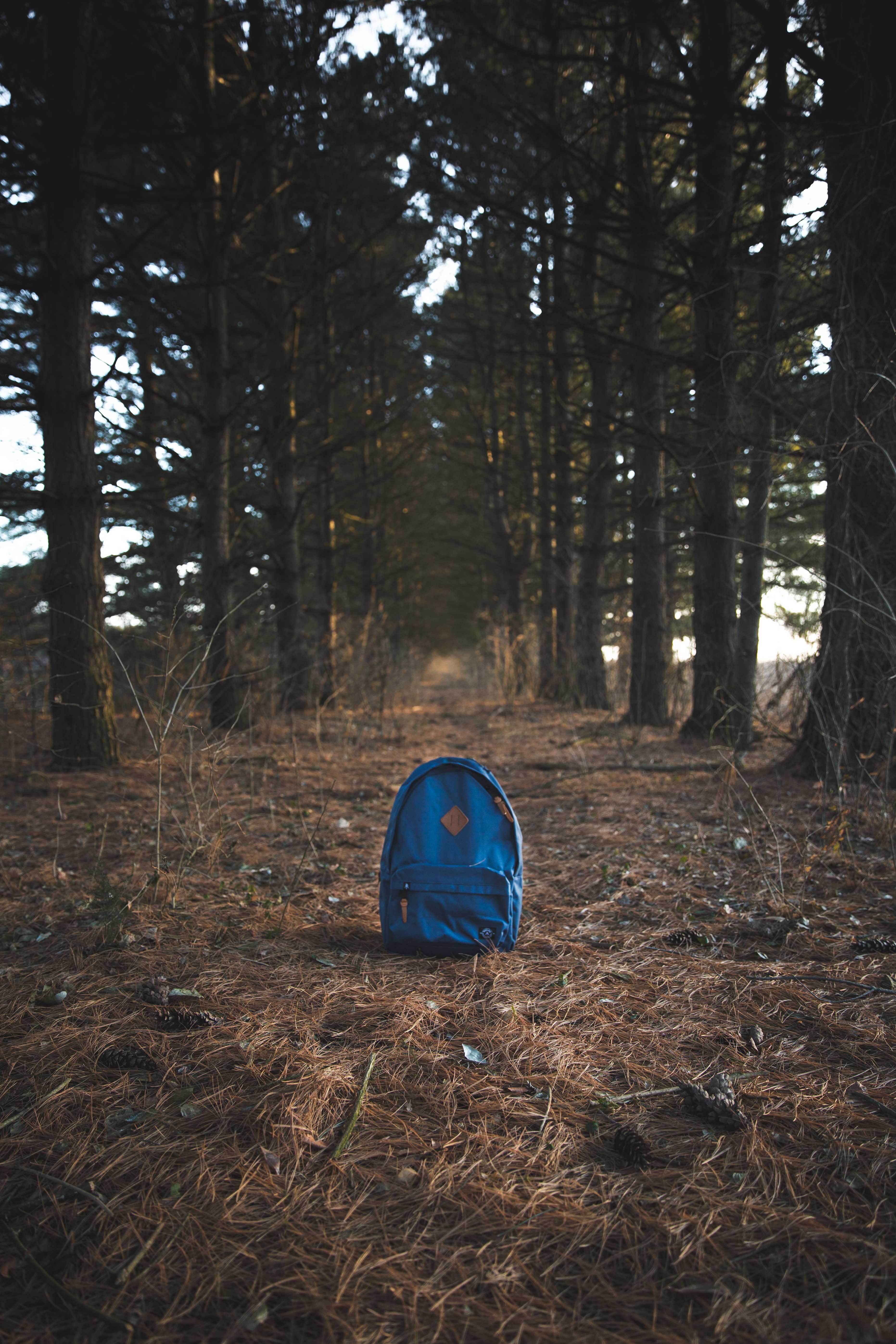 Blue backpack on a pine-covered forest floor, framed by a corridor of trees