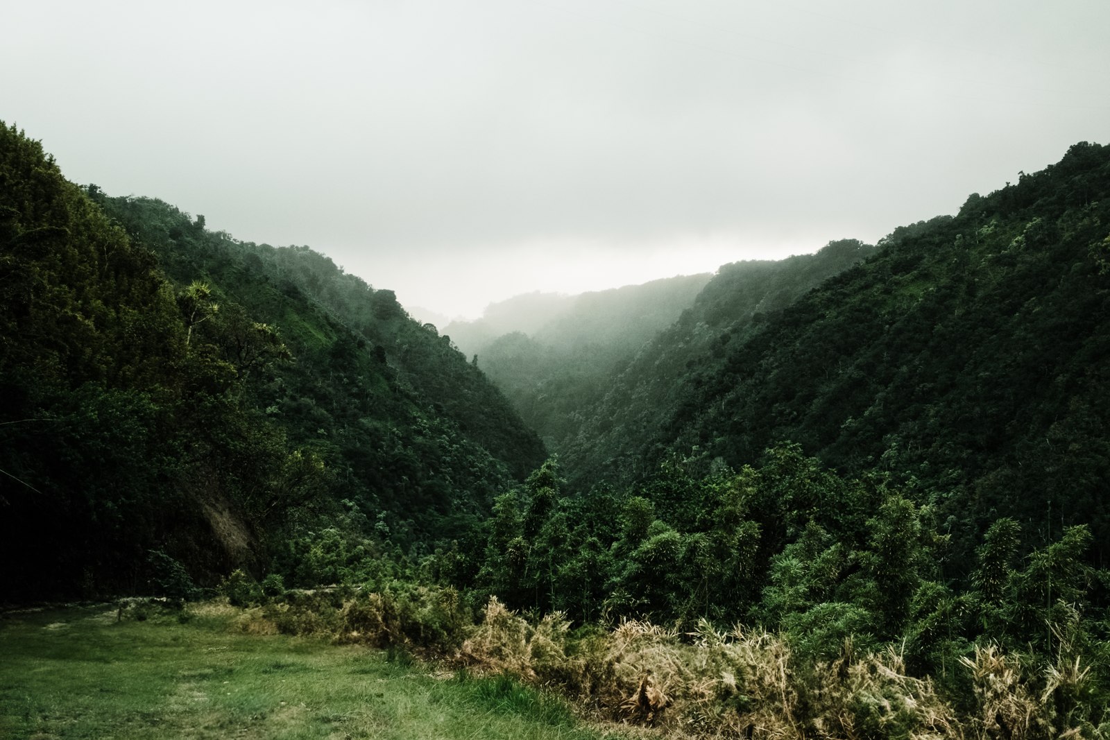 Mist drifting through a lush green mountain valley